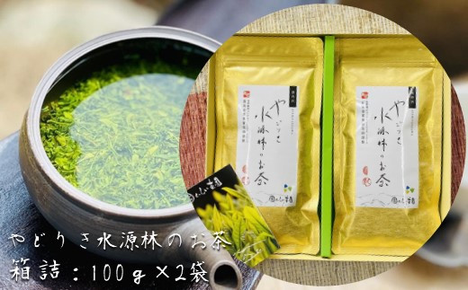 やどりき水源林のお茶 （箱詰：100g×2袋）一番茶使用