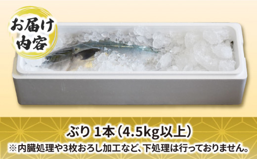 ぶり ブリ 鰤 ぶりしゃぶ しゃぶしゃぶ 刺身 鮮魚 海鮮 魚 五島 五島列島 鍋 年末 正月 日付指定 年内発送 年内配送