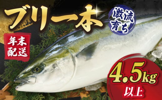 ぶり ブリ 鰤 ぶりしゃぶ しゃぶしゃぶ 刺身 鮮魚 海鮮 魚 五島 五島列島 鍋 年末 正月 日付指定 年内発送 年内配送