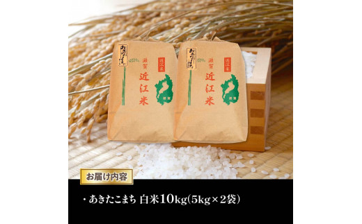 令和6年産 新米 白米 10㎏ あきたこまち 5kg × 2袋 精米 近江米 アキタコマチ 国産 お米 米 おこめ ごはん ご飯 白飯 しろめし こめ ゴハン 御飯 滋賀県産 竜王 ふるさと ランキング 人気 おすすめ