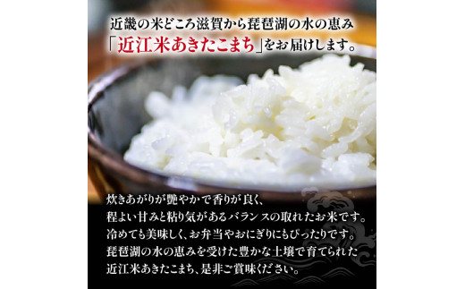 令和6年産 新米 白米 10㎏ あきたこまち 5kg × 2袋 精米 近江米 アキタコマチ 国産 お米 米 おこめ ごはん ご飯 白飯 しろめし こめ ゴハン 御飯 滋賀県産 竜王 ふるさと ランキング 人気 おすすめ