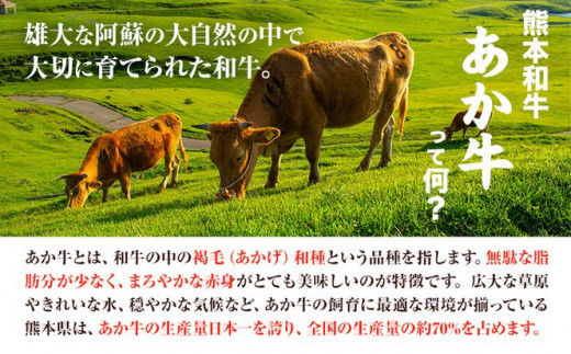 肉 和牛 あか牛カルビ焼肉用400g(あか牛のたれ付き)たれ 200ml 道の駅竜北《60日以内に出荷予定(土日祝除く)》 熊本県 氷川町 あか牛 あかうし