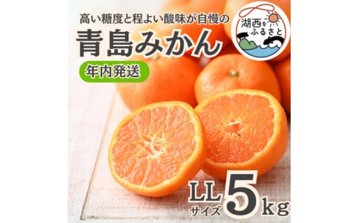 ＜年内発送＞＜12月より順次出荷予定＞青島みかん約5kg LLサイズ〔鈴木農園〕【1510094】