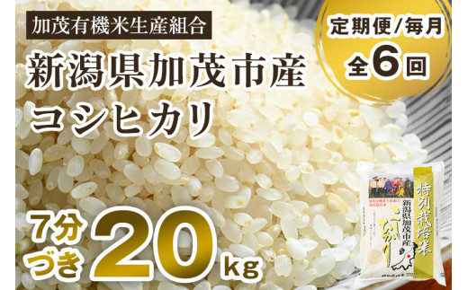 【令和6年産新米先行予約】【定期便6ヶ月毎月お届け】7分づき 特別栽培米 コシヒカリ 精米 20kg（5kg×4） 従来品種コシヒカリ 加茂有機米生産組合 新潟県 加茂市産 白米 米 お米 定期便