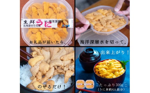 【2025年6月中旬から順次発送】【北海道せたな町産】生鮮生うに(150g×2パック)