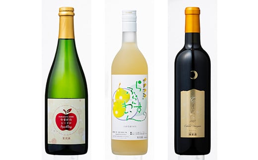 FYN9-739 月山山麓ワイン 飲み比べ6本セット（赤・白・ロゼ・スパークリング）ミディアムボディ ライドボディ 山形県 西川町