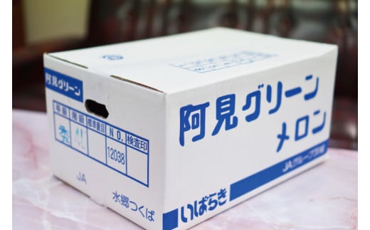 20-03 【先行予約】【2025年6月下旬より発送予定】茨城県産阿見グリーンメロン5kg（3玉）【秀品4L】【JA水郷つくば】【フルーツ 果物 くだもの 甘い おいしい メロン 茨城県 阿見町】