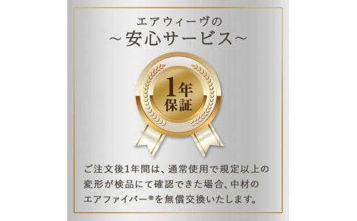 エアウィーヴ ピロースリム みな実のまくら 2個 セット