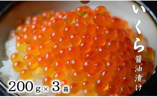 【年内発送】 三陸産 いくら醤油漬 200g×３箱 ３特 (鮭卵)   岩手県産 国産 小分け 年内 年内配送 年内お届け