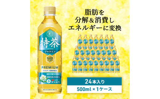 伊右衛門 特茶TOKUCHA ジャスミン（特定保健用食品）500mlペット