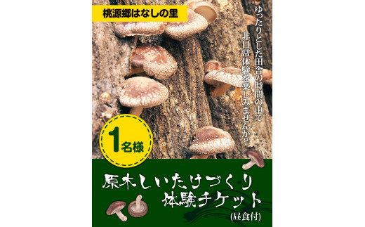 7. 原木しいたけづくり体験チケット(昼食付) 1名様 桃源郷はなしの里 岡山県矢掛町《30日以内に出荷予定(土日祝除く)》