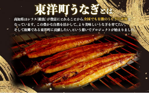 国産うなぎ蒲焼 合計240g（120g×2尾）U004