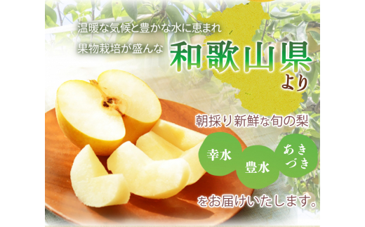 紀州和歌山産の梨 2kg 化粧箱入 ※2025年8月下旬頃〜2025年9月上旬頃に順次発送 ※日付指定不可 梨 なし ナシ 果物 くだもの フルーツ 甘い【uot788】