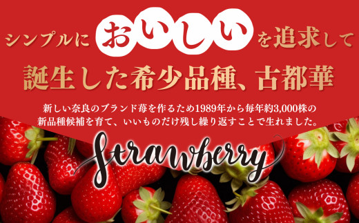 平群の古都華 いちご 2Lサイズ （2パック×2ケース） 計4パック 辻本農園 2025年2月発送 | 果物 くだもの フルーツ 苺 イチゴ いちご ストロベリー 古都華 ことか 旬の品種 産地直送 奈良県 平群町