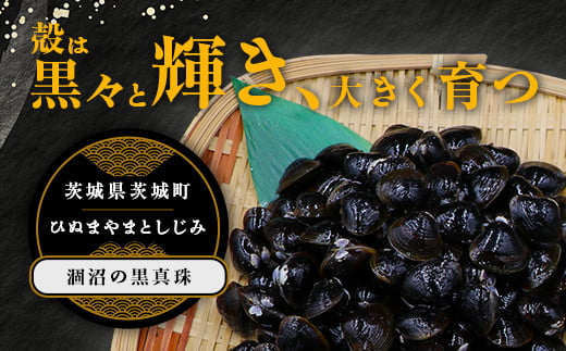 451 しじみ 冷凍 砂抜き 1kg 500g × 2袋 ひぬま やまと シジミ 涸沼 大和