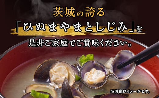 451 しじみ 冷凍 砂抜き 1kg 500g × 2袋 ひぬま やまと シジミ 涸沼 大和