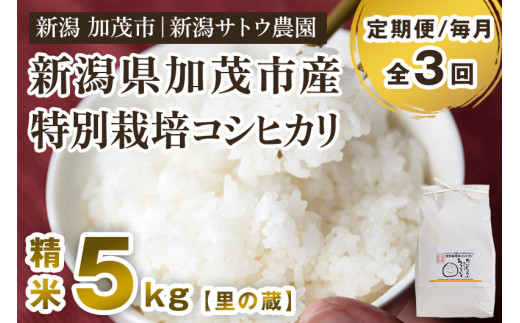 【令和6年産新米先行予約】【定期便3ヶ月毎月お届け】化学肥料未使用の従来コシヒカリ【里の蔵5kg】特別栽培 有機肥料で育った厳選米 加茂市 新潟サトウ農園