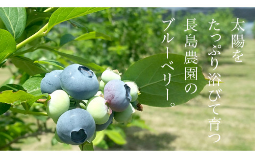 冷凍 ブルーベリー 800g 冷凍ブルーベリー 国産 茨城県産 ベリー 冷凍果実 フルーツ 果物 くだもの 自家製栽培 [AK005sa]