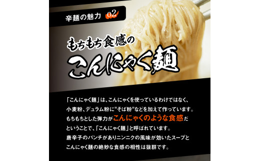 冷凍辛麺6食分セットなんこつ3セット N040-YB434