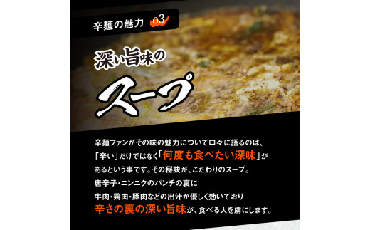 冷凍辛麺6食分セットなんこつ3セット N040-YB434