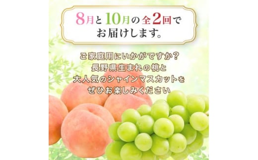 ＜発送月固定定期便＞訳あり桃2.1kg(8月)・訳ありシャインマスカット1.3kg(10月)全2回【4052143】