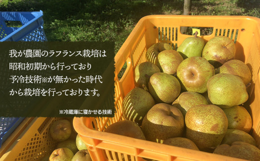 【令和6年産 先行予約】高級ラ・フランス 3kg 化粧箱 山形県鶴岡産　安野農園