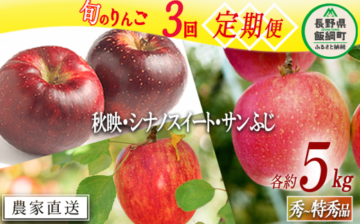 旬のりんご 【 定期便 】 秀 ～ 特秀 5kg × 3回 渡辺農園 沖縄県への配送不可 2024年10月上旬頃から2024年12月中旬頃まで順次発送予定 令和6年度収穫分 エコファーマー認定 減農薬栽培 長野県 飯綱町 [0805]