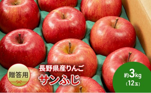 りんご 先行予約 長野 贈答用 リンゴ サンふじ 約3kg （12玉） 産地直送 ギフト プレゼント 贈答 贈答品 贈り物 フルーツ 果物 デザート サンフジ 秋 旬 信州 長野県 長野県産 2024 2024年 予約 令和6年度発送 [№5659-1552]