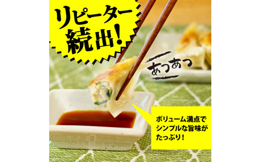 訳あり 餃子 にんにく 105個 15個×7袋 冷凍 小分け レシピ付き 惣菜 中華 ぎょうざ ギョーザ おかず つまみ 焼くだけ 簡単調理 ご飯のお供 便利 加工食品 弁当 おつまみ 晩ごはん にんにく餃子 埼玉県 羽生市 うまみ家