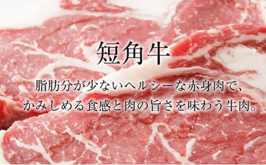 ステーキ肉 岩手 もりおか短角牛 モモ ステーキ 100g×4枚 短角牛 国産 赤身 赤身肉 小分け もも肉 牛肉 お肉 牛 肉 希少 ブランド牛 焼肉 焼き肉 BBQ バーベキュー キャンプ キャンプ飯 アウトドア 岩手県 盛岡 盛岡市 冷凍 有限会社トゥレイス