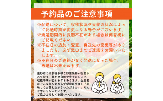 園主 厳選 りんご 詰め合わせ 3kg 定期便 3回 松陽園 / 岩手県 遠野市 産 10-12月 発送 10月15日受付終了