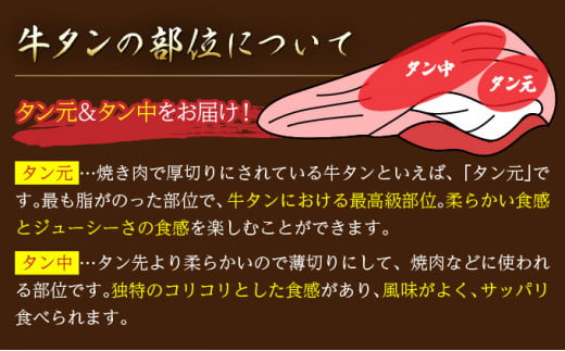 8ミリスライス塩だれ仕込み牛タン1KG【厚切り タン 牛たん たん 牛肉 肉 焼肉 焼き肉 BBQ バーベキュー キャンプ 冷凍 塩味 小分け】【07521-0058】