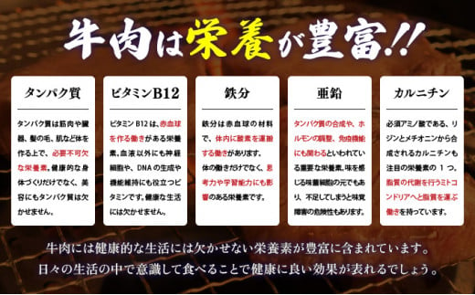 8ミリスライス塩だれ仕込み牛タン1KG【厚切り タン 牛たん たん 牛肉 肉 焼肉 焼き肉 BBQ バーベキュー キャンプ 冷凍 塩味 小分け】【07521-0058】