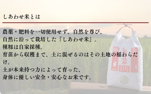 しあわせ米のぽんせんべい(6個)せんべい 玄米 なずなの塩 お菓子 おやつ【101000900】【宇佐本百姓】