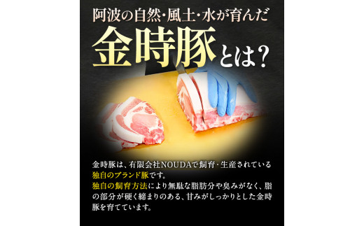 豚肉 阿波 金時豚 切り落とし＋ミンチ セット 2.7kg アグリガーデン 《30日以内に出荷予定(土日祝除く)》ブランド豚 肉 小分けパック 送料無料 徳島県 上板町