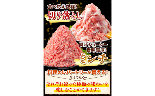 豚肉 阿波 金時豚 切り落とし＋ミンチ セット 2.7kg アグリガーデン 《30日以内に出荷予定(土日祝除く)》ブランド豚 肉 小分けパック 送料無料 徳島県 上板町