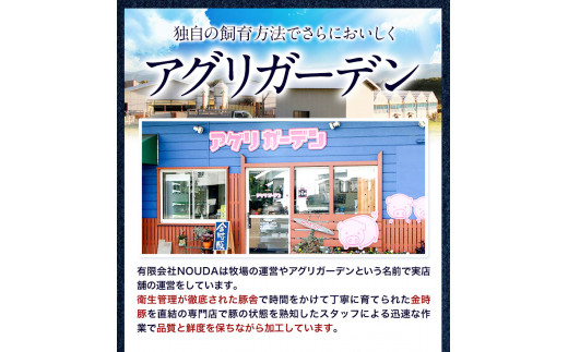 豚肉 阿波 金時豚 切り落とし＋ミンチ セット 2.7kg アグリガーデン 《30日以内に出荷予定(土日祝除く)》ブランド豚 肉 小分けパック 送料無料 徳島県 上板町