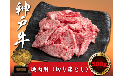 訳あり 神戸牛 焼肉（切り落とし）　500g　SOY1