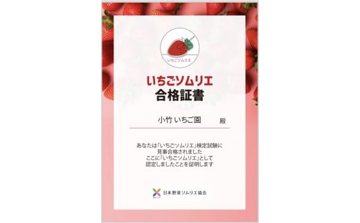 新定番！無添加紅白いちごドレッシング 各1本セット（ミルキーベリードレッシング、3種のいちごドレッシング）｜とちあいか とちおとめ スカイベリー 栃木県 さくら市 イチゴ 苺 8000円 8千円