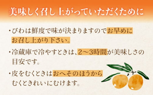 【2025年3月中旬より順次発送】東彼杵町産 長崎 ハウス びわ 500g 化粧箱入  [BDC001]