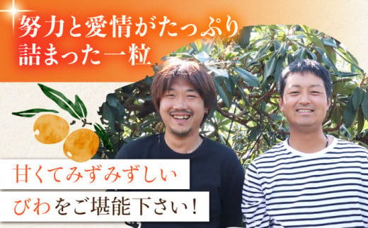 【2025年3月中旬より順次発送】東彼杵町産 長崎 ハウス びわ 500g 化粧箱入  [BDC001]