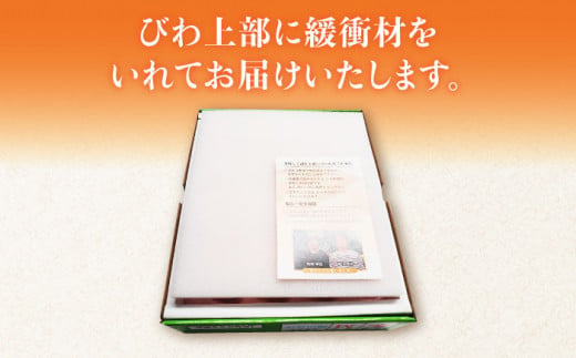 【2025年3月中旬より順次発送】東彼杵町産 長崎 ハウス びわ 500g 化粧箱入  [BDC001]