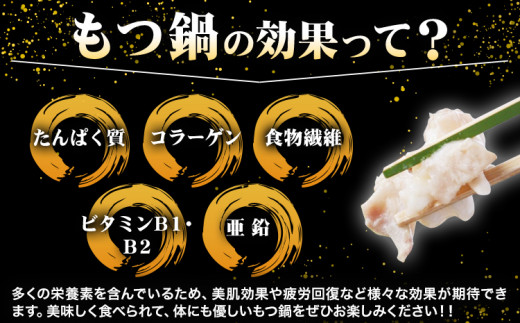 もつ鍋 博多 牛もつ鍋 セット 3~4人前 株式会社木村食品《90日以内に出荷予定(土日祝除く)》福岡県 鞍手郡 鞍手町 牛 牛肉 もつ 鍋 送料無料