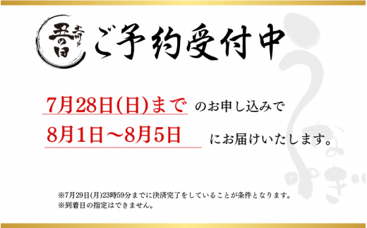 【予約 土用の丑の日まで（8月1日～5日）に届く】1尾で約240gのビッグサイズ うなぎ蒲焼 2尾 計約480g （タレ・山椒付き） 中国産 鰻 うなぎ うなぎの蒲焼 炭火焼き 炭火 特大サイズ【nks700A-dy2】