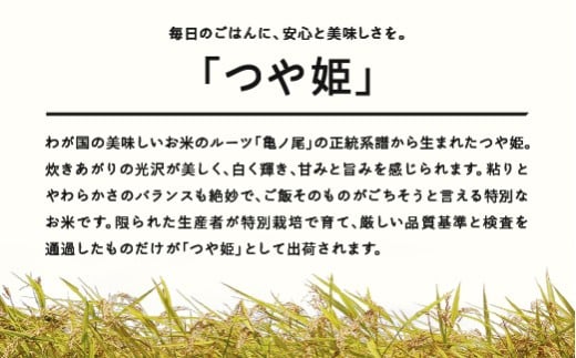 ＜先行予約＞新米 米 つや姫 精米 10kg 令和7年産 2025年産 山形県産 11月中旬〜11月下旬に順次発送 tf-tssxb10-11s
