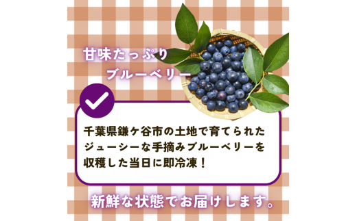 【千葉県のあま～い恵み】小分けパックの冷凍ブルーベリー 5kg(500g×10袋)