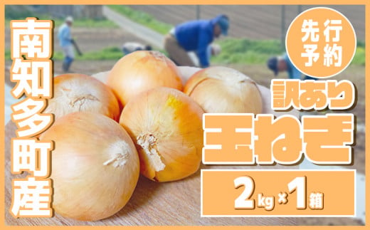 【先行予約 5～6月出荷】 訳あり 玉ねぎ 2kg(1箱)  野菜 オニオン 甘い 玉葱 肉じゃが ハンバーグ 家庭用 大きさ不揃い 先行予約 