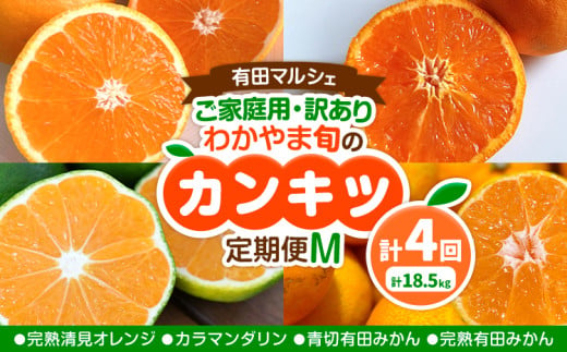 ご家庭用・訳あり わかやま旬のカンキツ定期便【M】 全4回 合計18.5kg 有田マルシェ《発送月固定・全4回出荷》和歌山県 日高町 フルーツ 果物 柑橘 ご家庭用 訳あり 有田みかん 清見オレンジ カラマンダリン 完熟 青切