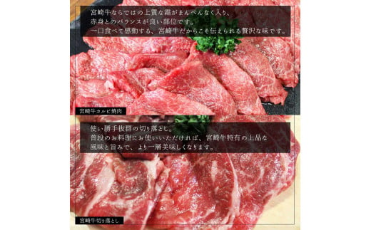 【宮崎牛】 宮崎県産 宮崎牛 カルビ 切り落とし セット 400g×2 計800g [レグセントジョイラー 宮崎県 美郷町 31bb0022] 冷凍 送料無料 国産 牛 肉 焼肉 バーベキュー BBQ 切落し 炒め物 A4 A5等級