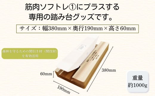 杉間伐材の健康グッズ「年輪の力」筋肉ソフトレ（１）専用踏み台 杉 有効利用 運動 